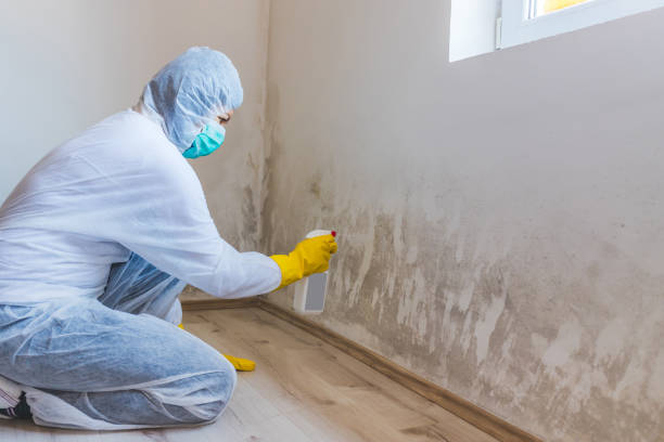Licensed Commercial Mold Remediation service in Hillsboro, OR - WQB Mold Removal