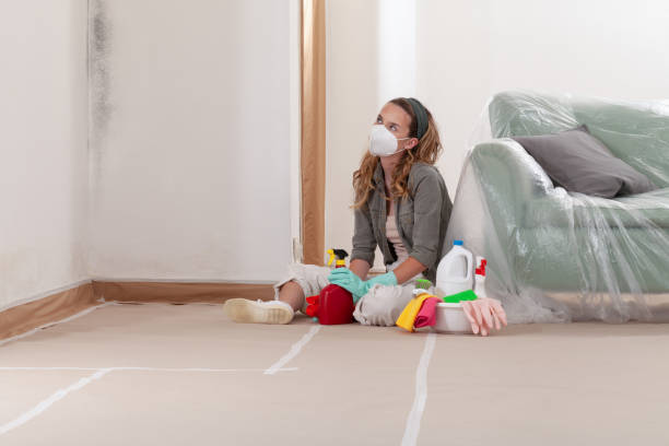 Reliable Commercial Mold Remediation contractor in Hillsboro, OR by WQB Mold Removal